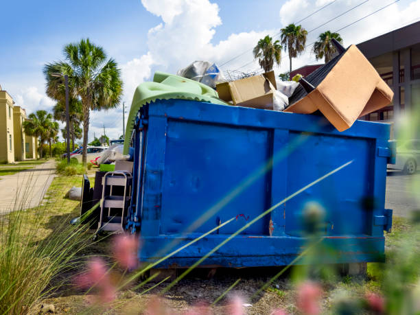 Best Yard Cleanup Services  in Black Canyon City, AZ